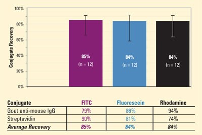 calculate-dye-protein-molar-ratios-fig1