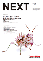 NEXT2017年5月号