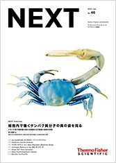 「NEXT」2018年7月号