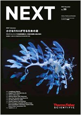 NEXT2016年12月号