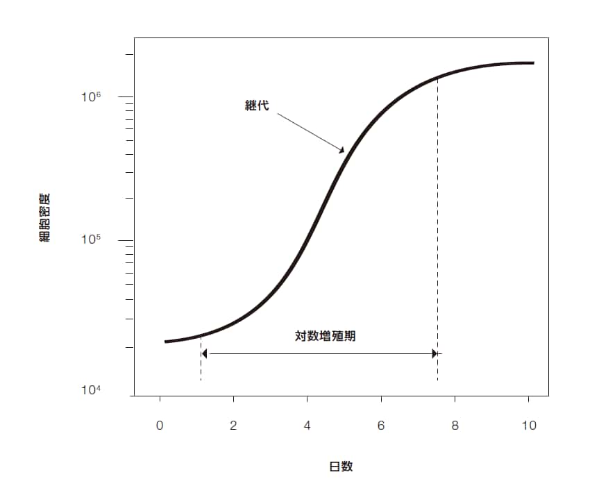 培養細胞の継代に関する知っておくべき基礎知識 - Learning at the Bench