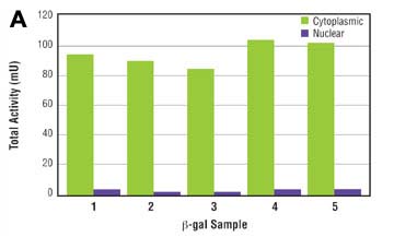 各画分のクロスコンタミネーションの確認A