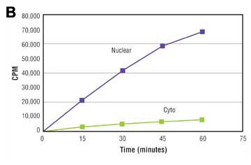 各画分のクロスコンタミネーションの確認B