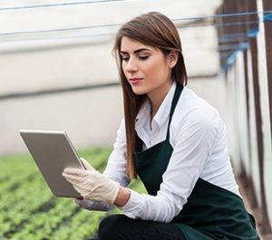 Scientist using mobile LIMS on tablet in the field