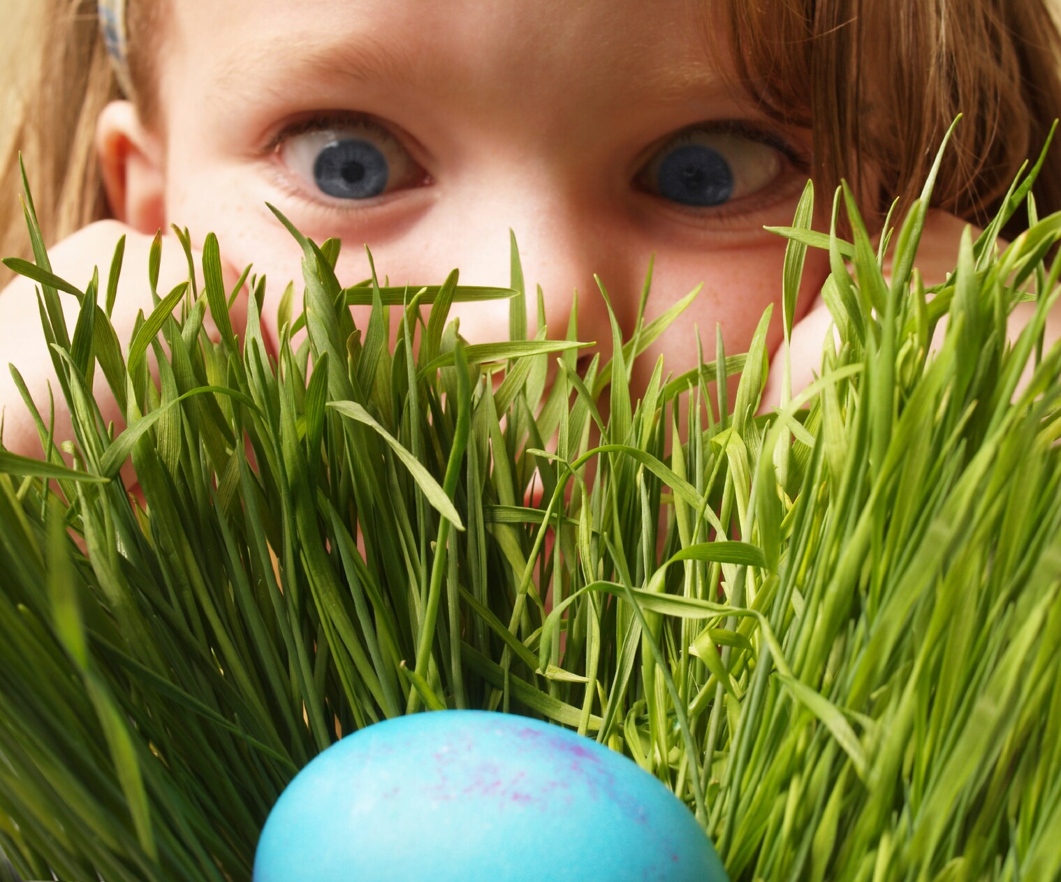 hidden egg of exploration