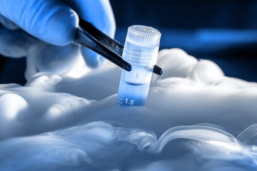 Tube in liquid nitrogen. Image: sruilk/Shutterstock.com