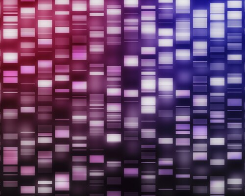 Pink and purple DNA strands on black background. Image: ESB Professional/Shutterstock.com.
