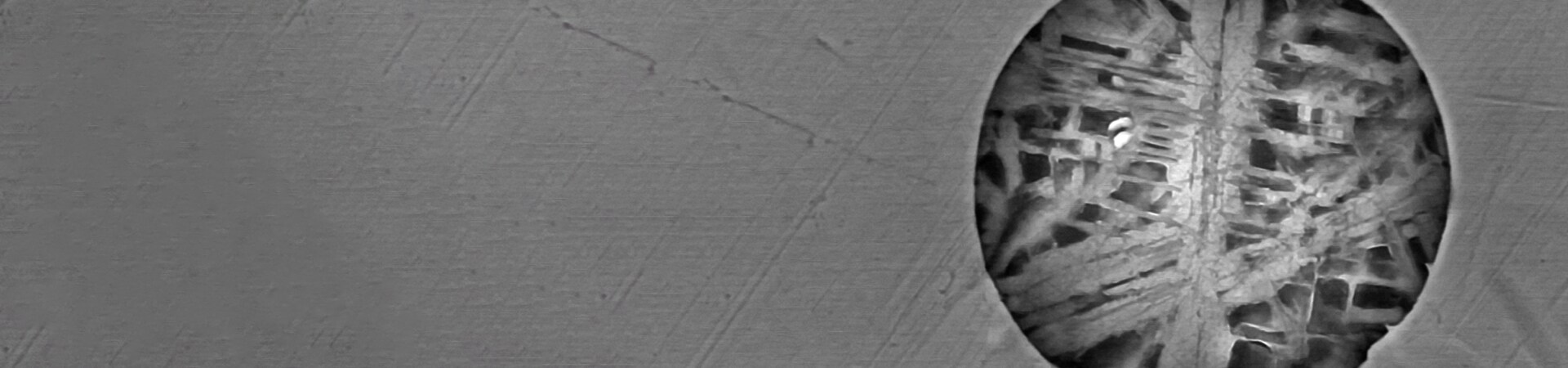 Tackling Non-Conductive Samples with Confidence: The Power of Low-Vac Mode