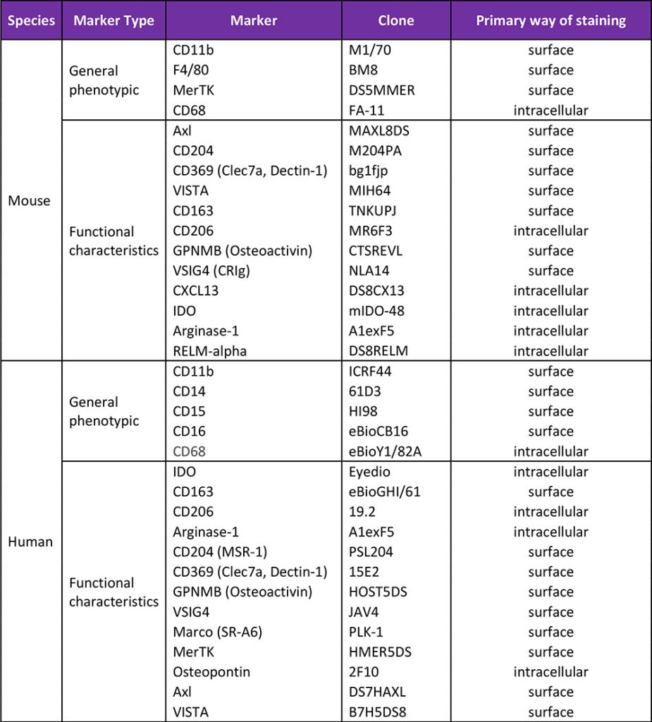Non-exhaustive list of markers to consider when studying macrophages. 