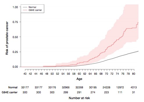Age-specific risk of prostate cancer by HOXB13 G84E mutation carrier status Age-specific risk of prostate cancer by HOXB13 G84E mutation carrier status