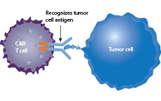 Precision therapy Precision therapy