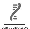 QuantiGene Assays QuantiGene Assays