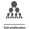 Proliferation Proliferation