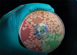 Microbiome and wastewater workflows Microbiome and wastewater workflows