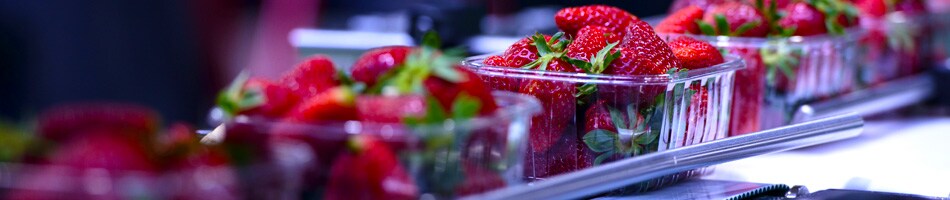 CIBUS TEC 2016 CIBUS TEC 2016