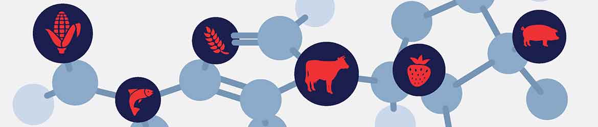 ISAG 2019-Hero ISAG 2019-Hero