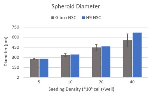 NSCs seeded at various seeding densities in B27 Supplement produce neural spheroids Graphed diameters of neural spheroids developed in B27 Supplement