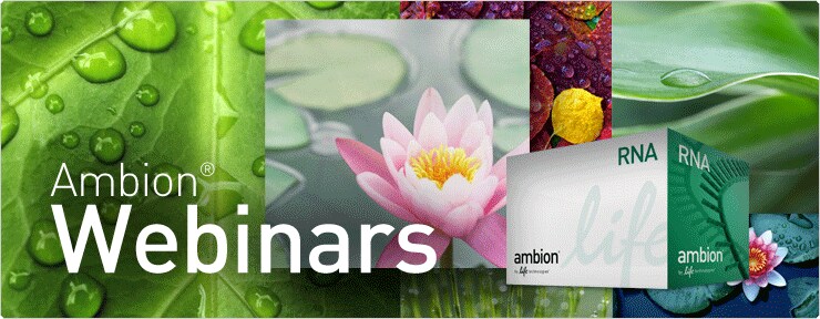 banners.par.62765.image.740.288.1.ambion-webinars banners.par.62765.image.740.288.1.ambion-webinars