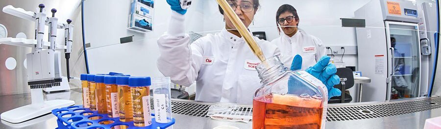 Cell culture laboratory Scientist using a biosafety cabinet for cell culture