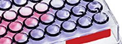 pod.par.0219.image.0.0.1 Microplate Reader Assays