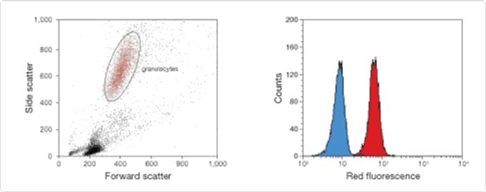 pHrodo dyes in flow cytometry pHrodo dyes in flow cytometry