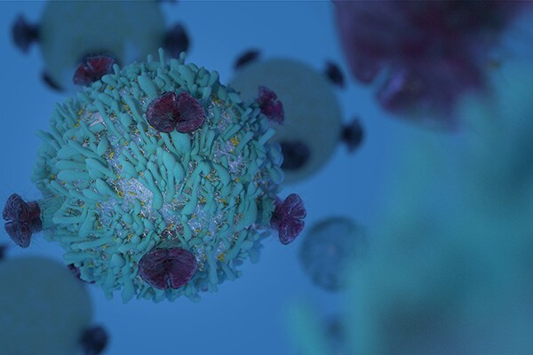 Illustration of an immune cell 3D rendering of an immune cell