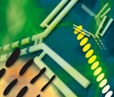 BioSource Cellular Pathway Exploration Tools BioSource Cellular Pathway Exploration Tools