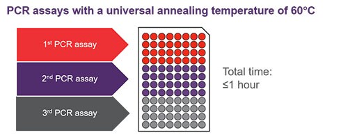 Three PCR assays in one plate using a universal protocol Three PCR assays in one plate using a universal protocol