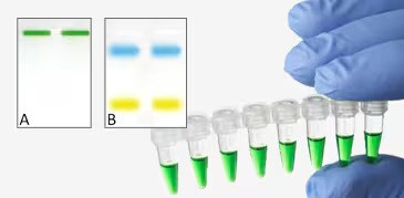 DreamTaq Green master mix 8-tube strip containing green master mix held by blue-gloved hands. Two insets A & B. Inset A shows two wells filled with green reagent; inset B shows two bands of blue and two bands of yellow dyes