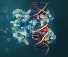 Thermo Scientific Restriction & Modifying Enzymes Thermo Scientific Restriction & Modifying Enzymes