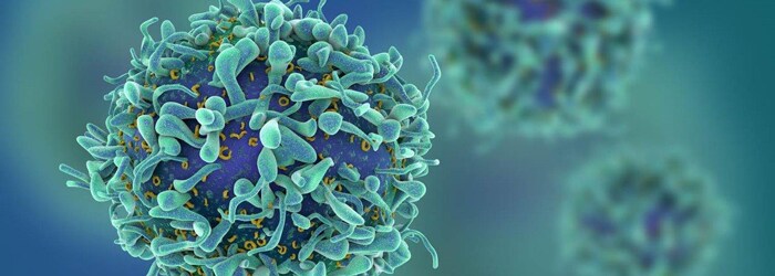 illustration of cells for t cell manufacturing for immunotherapy illustration of cells for t cell manufacturing for immunotherapy