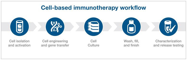 car t cell manufacturing workflow illustration car t cell manufacturing workflow illustration