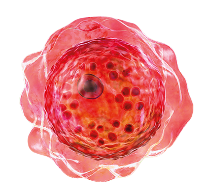 CGT-Cell-Red CGT-Cell-Red