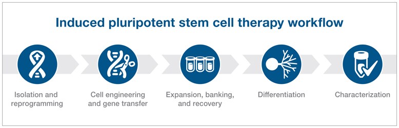 iPSC workflow graphical workflow showing 5 steps for iPSC therapy