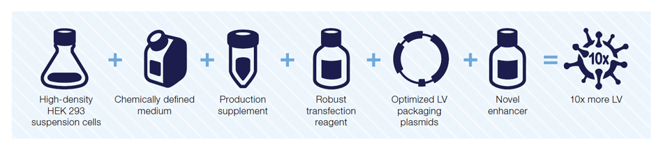 Gibco LV-MAX Lentiviral Production System workflow Illustration of the seven stages from suspension culture to LV particles