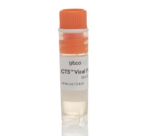 GMP banked HEK293 cells for viral vector production GMP banked HEK293 cells for viral vector production