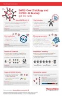 SARS-CoV-2_biology_COVID-19_testing_infographic SARS-CoV-2_biology_COVID-19_testing_infographic