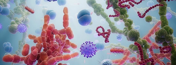 Scientist conducting qPCR panel testing Scientist conducting qPCR panel testing