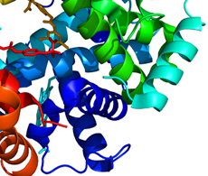 proteomics-hero-295x130 proteomics-hero-295x130