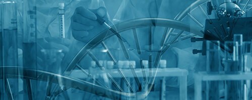 DNA Strand DNA Strand