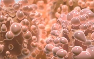 precision-med-adoption precision-med-adoption