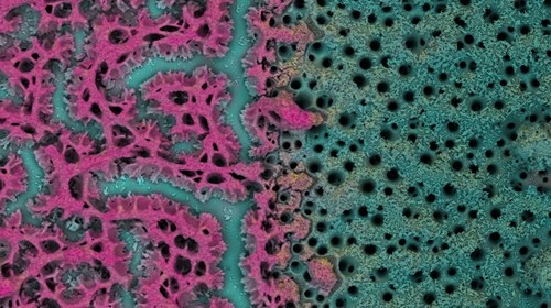 nanoport_ms_500x280 Electron microscopy techniques for materials science