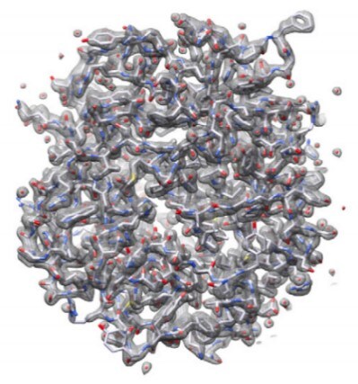 Proteinase K structured determined by micro electron diffraction. Proteinase K structured determined by micro electron diffraction.