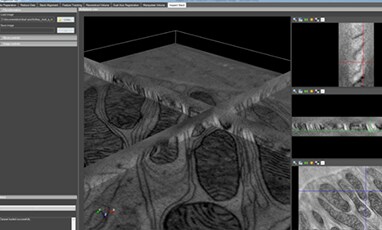 Inspect 3D reconstructed 3D volume screen capture Inspect 3D reconstructed 3D volume screen capture
