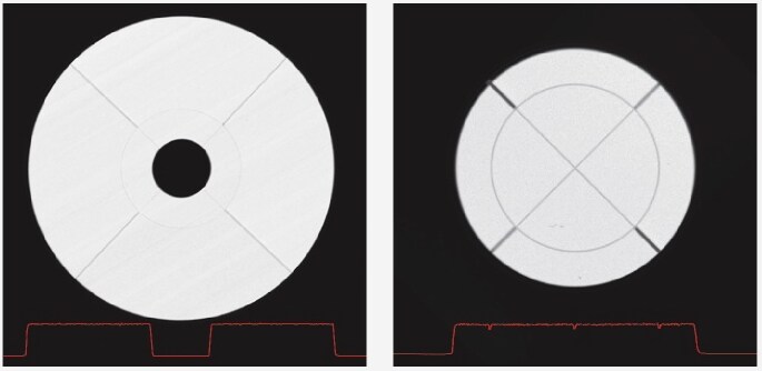 Scanning image of the 16 segmented ring and disk detectors with an intensity profile (in red) proving the excellent homogeneity of sensitivity across the segments. Scanning image of the 16 segmented ring and disk detectors with an intensity profile (in red) proving the excellent homogeneity of sensitivity across the segments.