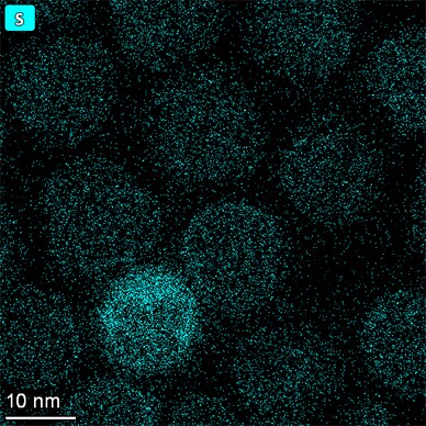 Talos-Dual-X-Image-19 Talos-Dual-X-Image-19