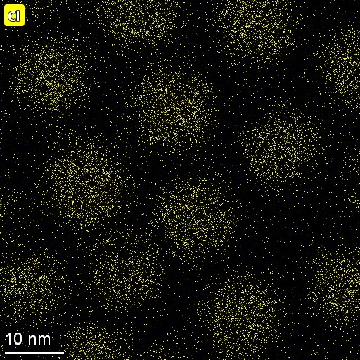 Talos-Dual-X-Image-15 Talos-Dual-X-Image-15