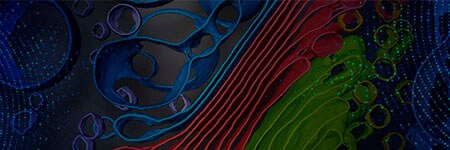 Accelerate and Advance: a service and support program for cryo-tomography tools Accelerate and Advance: a service and support program for cryo-tomography tools