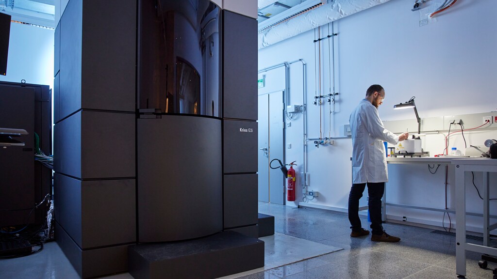 Site Services for electron microscopes Site Services for electron microscopes