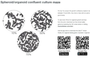 3d-cell-culture-analysis-activity-booklet-thumbnail01 3d-cell-culture-analysis-activity-booklet-thumbnail01